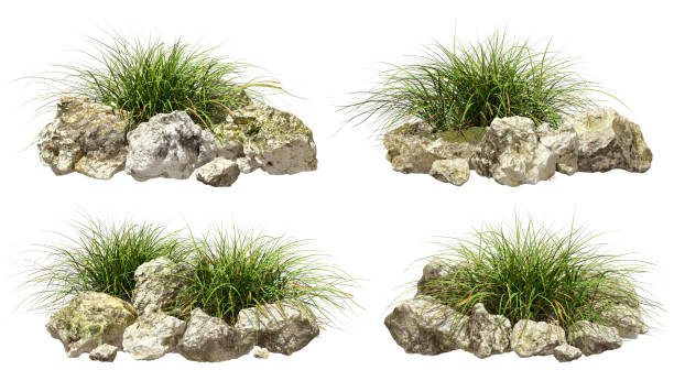 istock Grass and rock composition landscape collections set on white backgrounds 3d illustrations 2191470304