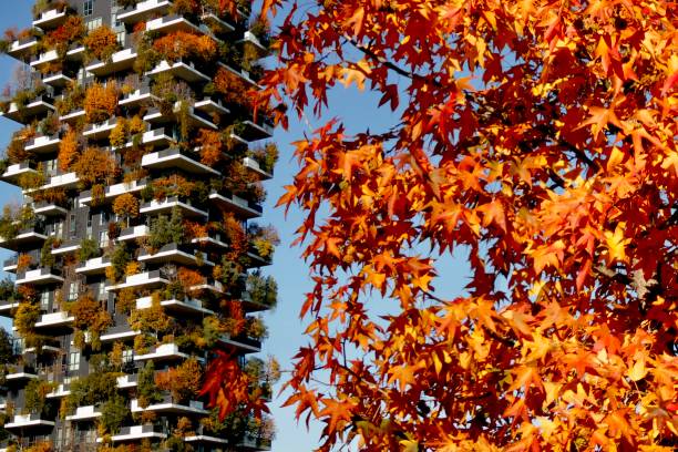 Skyscraper with trees on the balconies during autumn