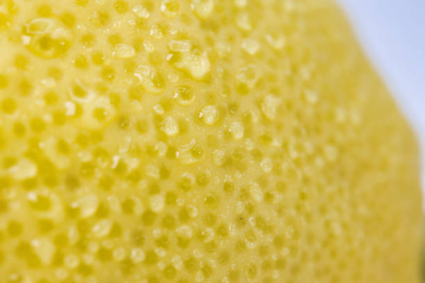 A slice of lemon. A beautiful slice of lemon. The texture of the lemon is beautifully visible.