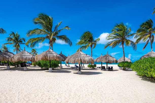istock Beach with palm trees and a clear blue sky 2191475467
