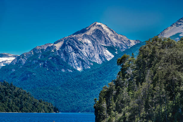 Mountains and wooded forest hill at nahuel huapi national park, san carlos de bariloche, rio negro province, patagonia, argentina