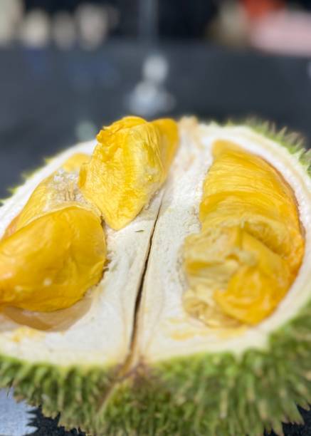 Black Thorn Opened up