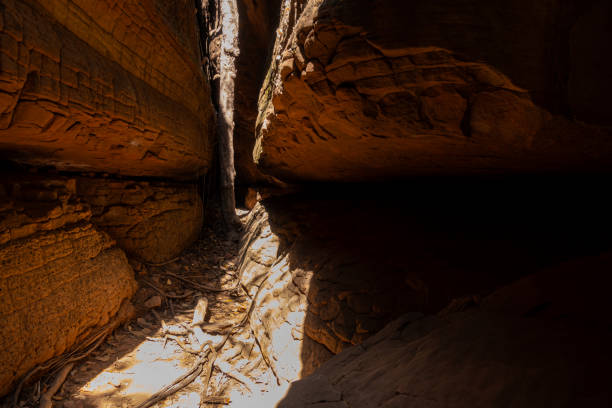 istock The Naga Cave in Bueng Kan, Thailand 2191479634