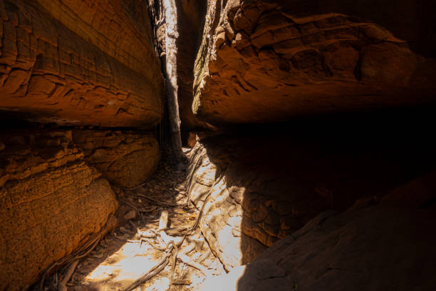 istock The Naga Cave in Bueng Kan, Thailand 2191479650