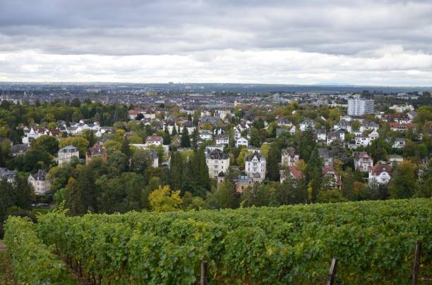 istock Famous wine yard at Neroberg mountain in Wiesbaden Germany 2191480237