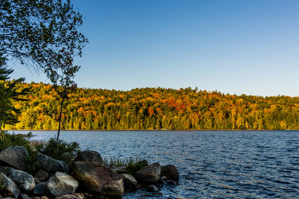 Autumn in Acadia National Park, Maine.