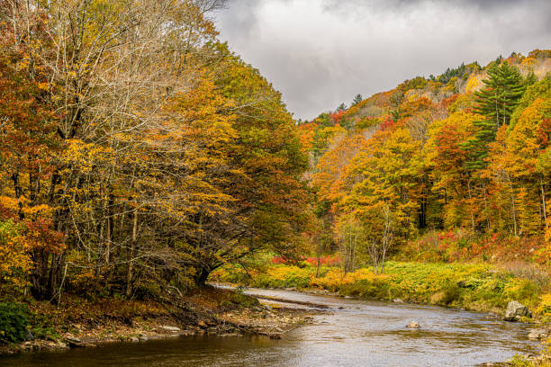 istock Flowing Stream in Vermont in the Fall 2191481258