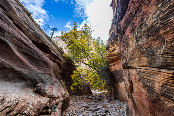 istock Slot Canyon at Zion. 2191484126