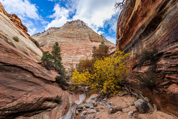 Beautiful scenery while hiking at Zion National Park on a cool autumn day.