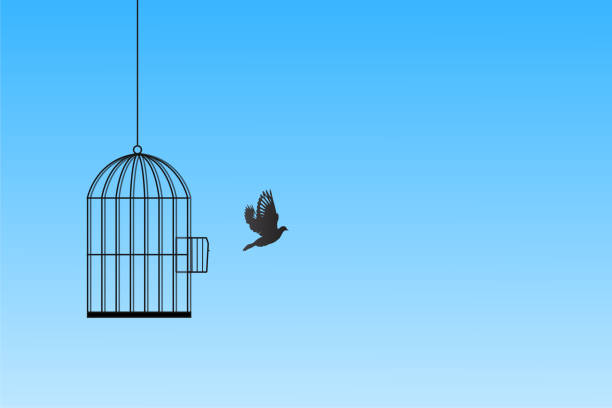 istock A bird soaring free from an open cage vector art, symbolizing freedom and liberation against a serene blue sky. Ideal for motivational, inspirational, and conceptual uses in art and design. 2191486050