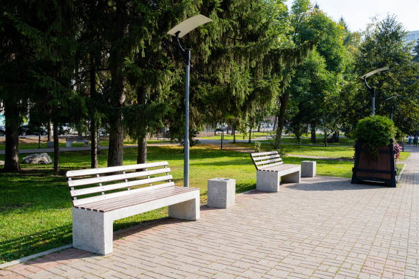 istock In a serene park setting, there is a row of benches positioned neatly, surrounded by lush trees that create a beautiful backdrop for visitors looking to relax and enjoy nature 2191487378
