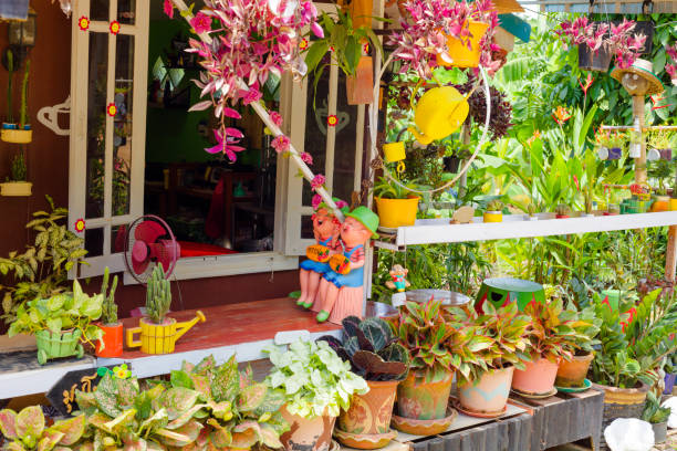 Open window and flower decor of a small thai coffee shop in remote rainforest location in Sukothai province. Name of coffee shop is Chayangkool. Coffee shop has a small fruit garden named  Sufficiency Garden by the Mountains in thai language. Scene and location is at a remote country road into the forest near old durian fruit trees and a small waterfall.  Scene is in Sukothai province in Huai Tom subdistrict Tuek. Between flower pots is happy thai fugrine couple welcoming guests. Scene is in Sukothai province in Huai Tom subdistrict Tuek. Coffe shop is near medium-sized water weir project in Huai Tom subdistrict Tuek. GPS coordinates are N 17.66785 and E 99.93578.