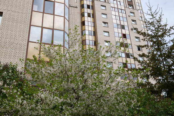 A stunning multistory building set among lush greenery and blooming trees, highlighting urban natures beauty