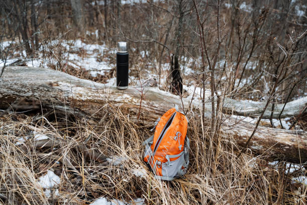 istock A vibrant backpack rests on lush grass beside a fallen log in the serene woods, surrounded by natures beauty and the soothing sounds of wildlife echoing through the trees 2191489561