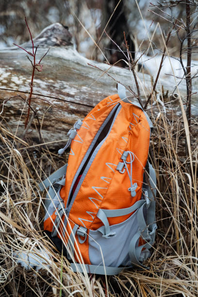An orange backpack is casually resting on the soft, lush green grass next to an old, weathered log that naturally blends into the beautiful landscape, creating a serene and peaceful outdoor scene