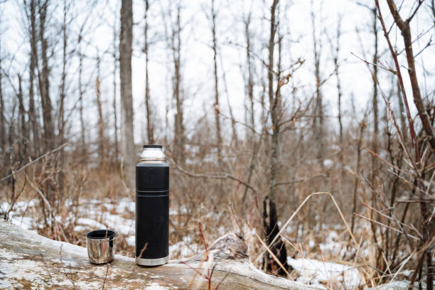 istock A thermos and a cup are sitting on a log in the woods 2191489578