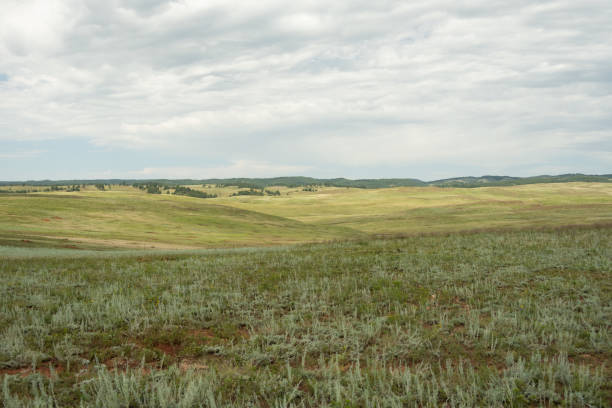 istock Dewy Grasses Roll Into The Undulating Hills Of Wind Cave 2191490569