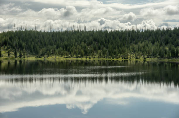 Yellowstone National Park