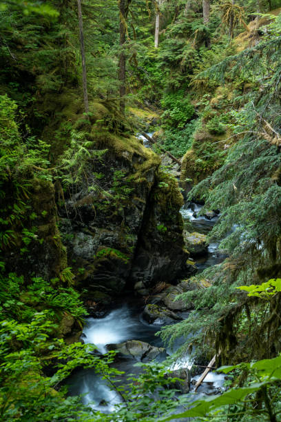 istock Sol Duc River Rushes Through The Narrow Canyon Beyond The Famous Falls 2191492364