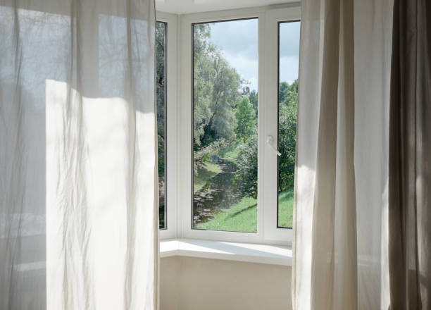 View from the window  on lawn, green trees, landscape with  forest.