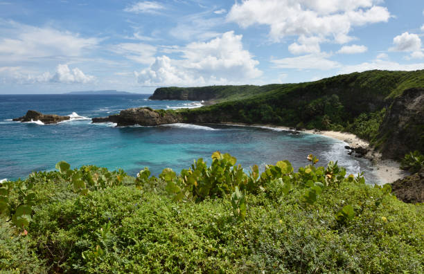 istock Beautiful tropical beach and coastline 2191502512