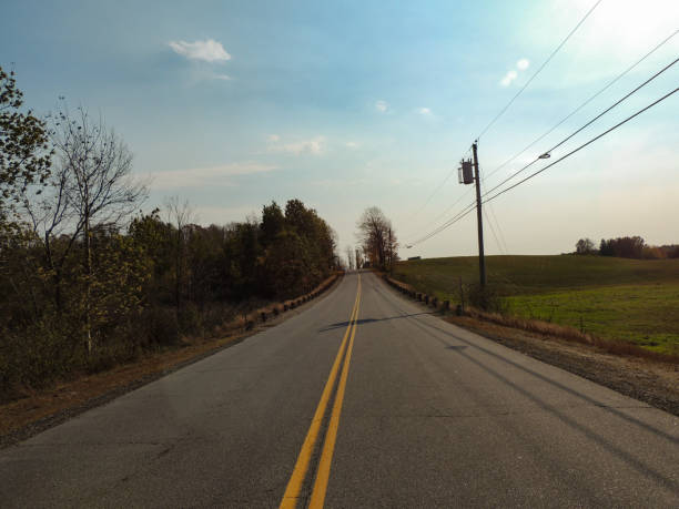 A wet curving road leads toward a lone tree on a distant hill.