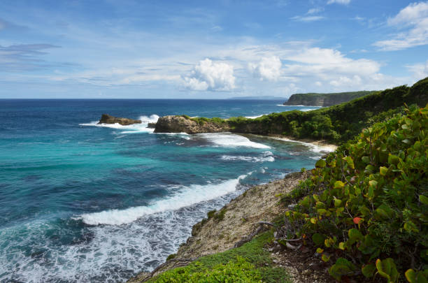 Little Island at Cerro Gordo Beach, Puerto Rico