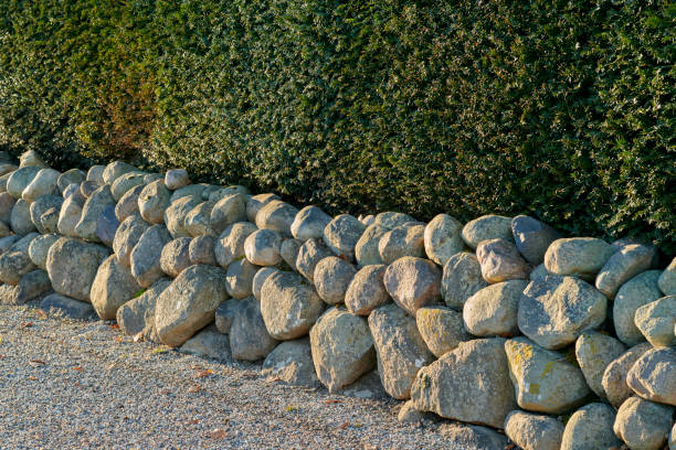 A natural stone wall bordered by a lush green hedge under bright sunlight, creating a scenic and serene outdoor ambiance.