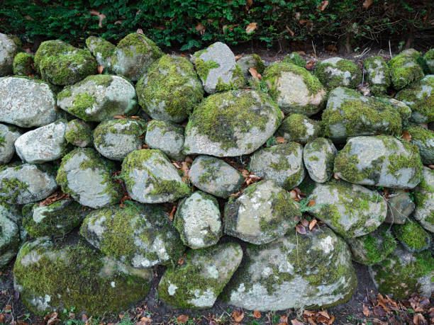 Close-up of a moss-covered stone wall, displaying natural patterns and textural details in a serene outdoor environment. Captures the beauty of nature's interplay with man-made structures.