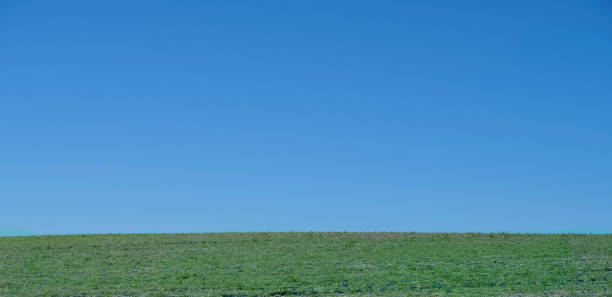 Wide green meadow under a serene blue sky, offering ample space for messages or designs.