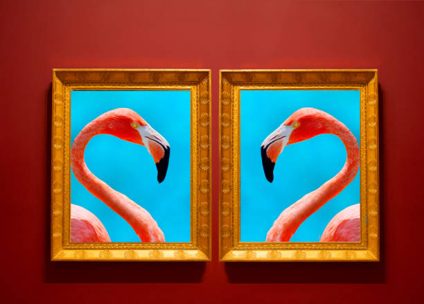 USA Florida, Flamingo photos in framea on wall.