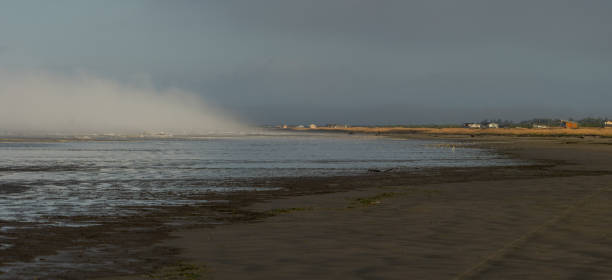 Grayland Washington Beach Panorama at Low Tide