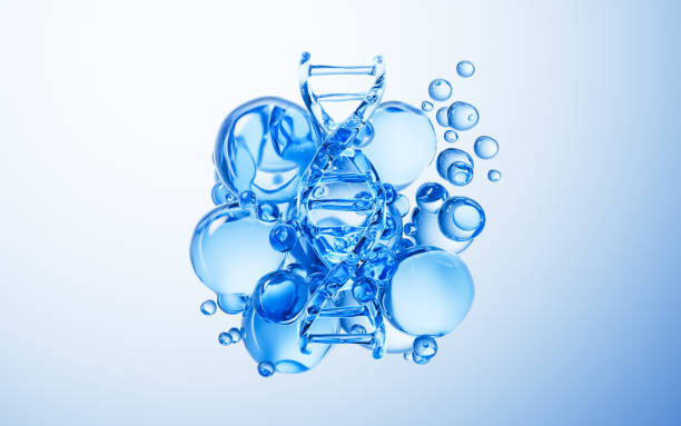 istock Transparent DNA and water bubbles, 3d rendering. 2191516875