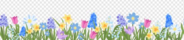 Horizontal Seamless Flower Border in Flat Style. Horizontal Seamless Flower Border in Flat Style. Trendy Vector Floral Background with Spring Flowers. Botanical Banner with Simple Naive Elements. Design Perfect for Weddings, Birthdays, Advertisement spring banner stock illustrations