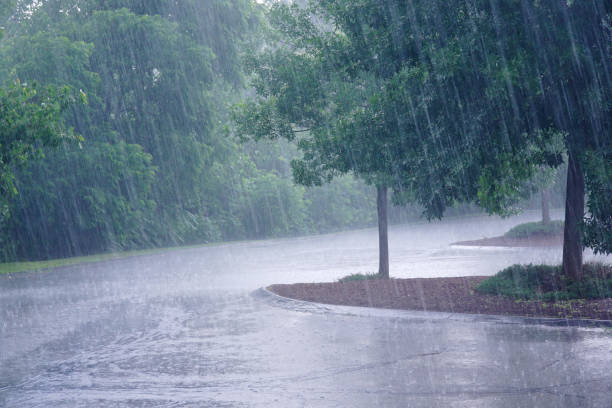 istock heavy rain and tree in the parking lot 2191518289