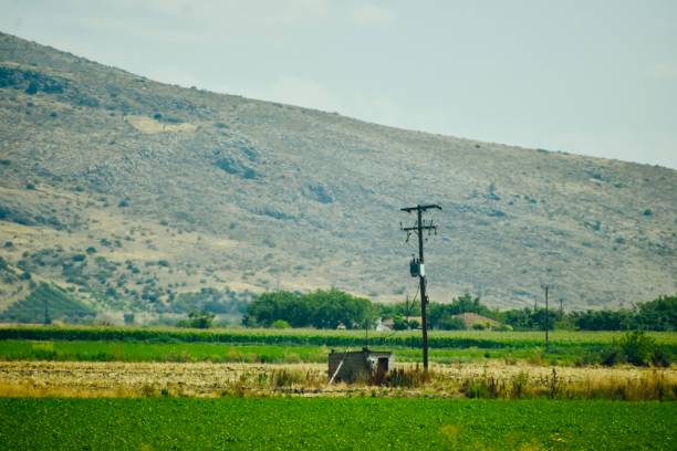 istock Greek Light Pole and Friend 2191525828