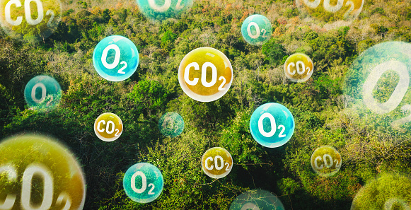 O2 Panel Tree Tree Canopy Against A Sky Background With Oxygen O2 And Carbon Dioxide ...