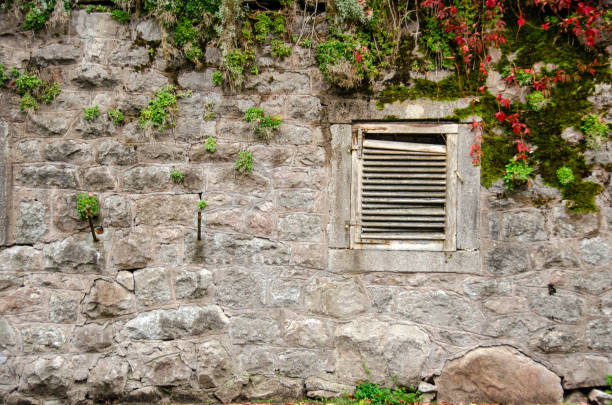 Old stone wall adorned with vibrant greenery and rustic window detail