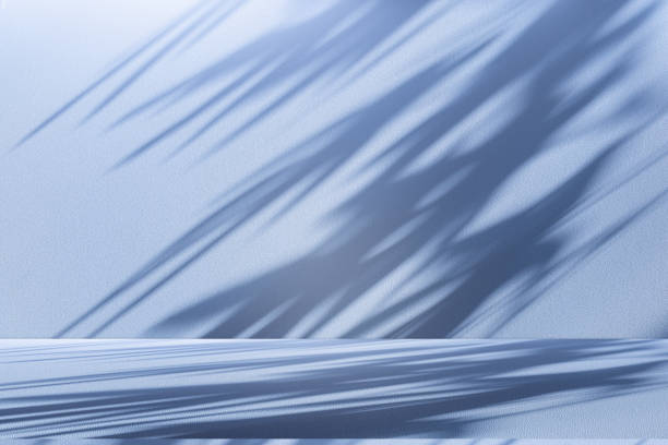 istock Studio style background wall decoration presentation uses white and blue tones. with shadows cast from a nearby window, concept creating a decorative 2191530350