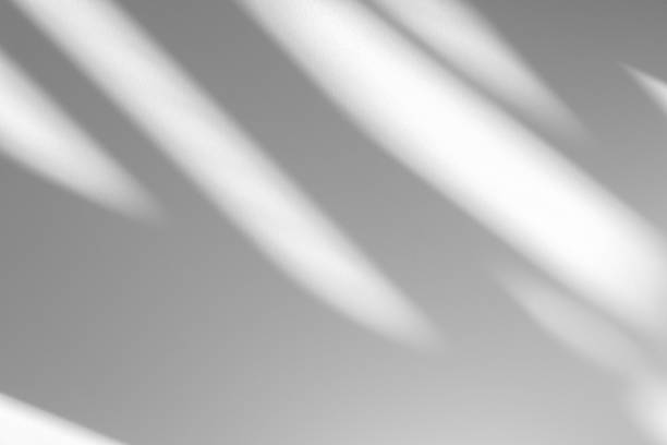 istock Wall interior background, studio and backdrops show products.with shadow from window color white . background for text insertion and presentation product 2191530378