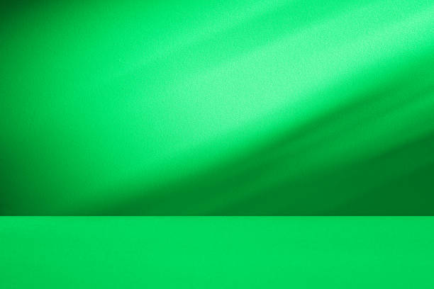 istock Studio style background wall decoration presentation uses white and green tones. with shadows cast from a nearby window, concept creating a decorative 2191530413
