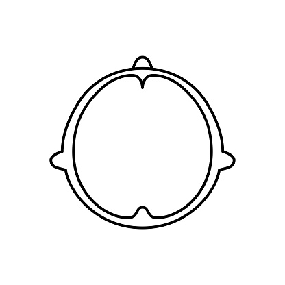 Top View Head Vector Human Head Model Brains Outline Head Top View Vector File Set ...