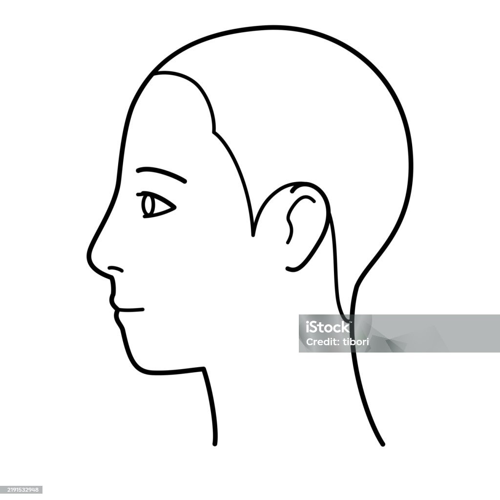 Side View Head Model Human Head Model Shaved Head Outline Side View Facing Left Vector File ...