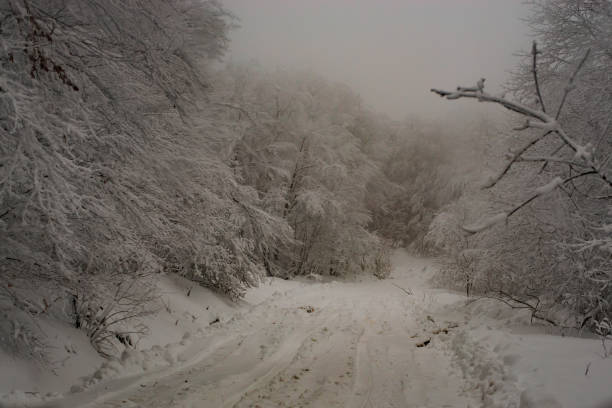Idyllic winter weather with snow, mountain road, no people