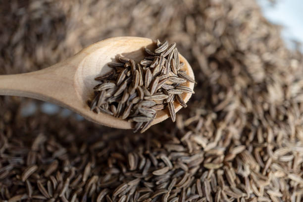dry cumin seeds in a measuring spoon