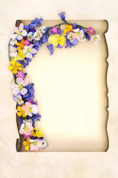 istock Spring Flower and Blossom Border on Paper Scroll on Parchment 2191538070