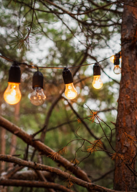 istock Outdoor light garland with a burnt-out light bulb on a pine tree in the forest. 2191541800