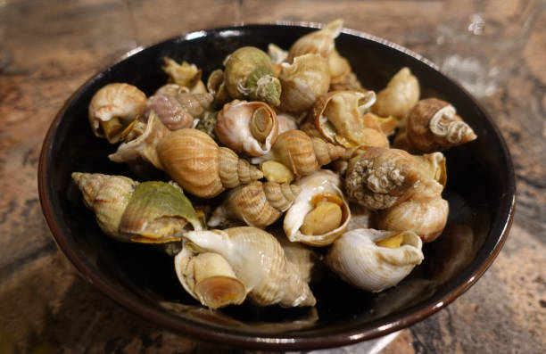 istock Whelks cooked in broth ready to eat 2191542413