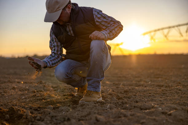 istock Agriculturist Assessing Soil Health During Irrigation Process 2191543219