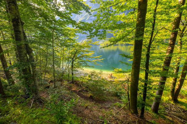 Individuals relax by a peaceful lake, surrounded by dense trees, enjoying leisure time in a natural setting with clear waters.